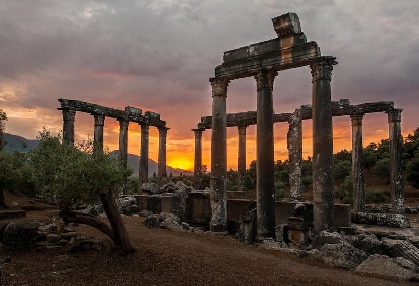 پانسیون Ionia Guest House