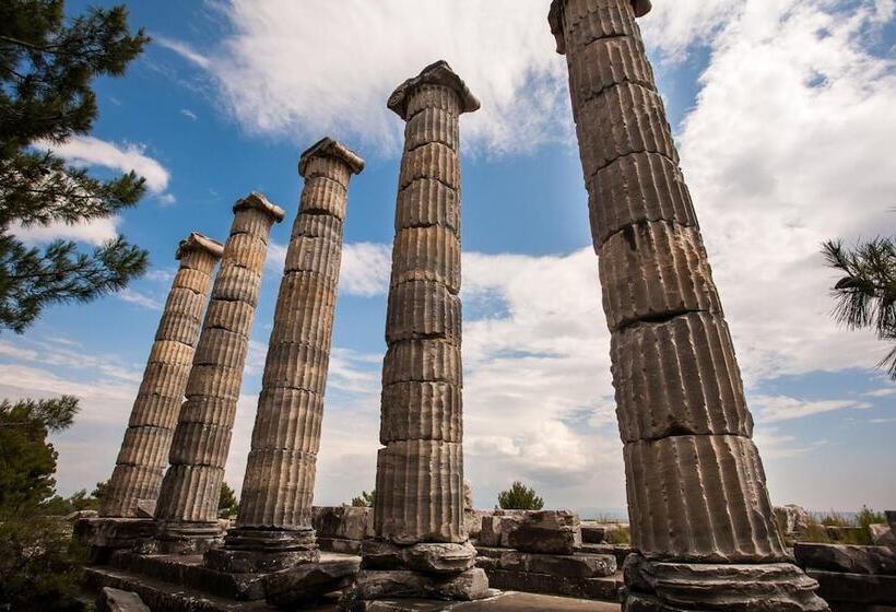 پانسیون Ionia Guest House