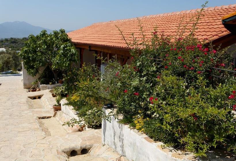 پانسیون Ionia Guest House