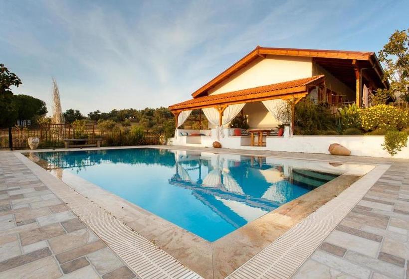 پانسیون Ionia Guest House