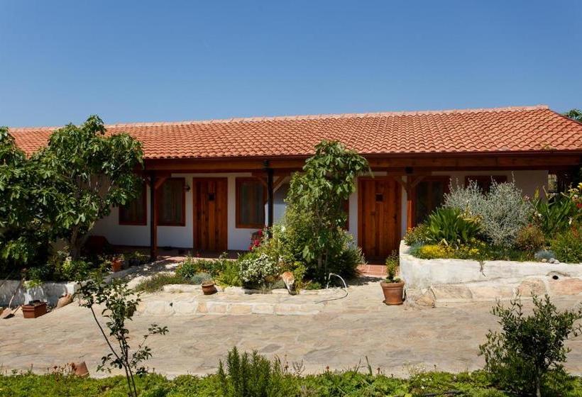 پانسیون Ionia Guest House