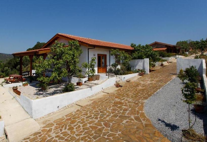 پانسیون Ionia Guest House