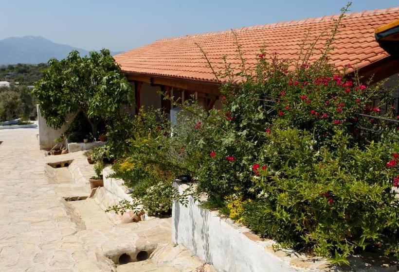 پانسیون Ionia Guest House