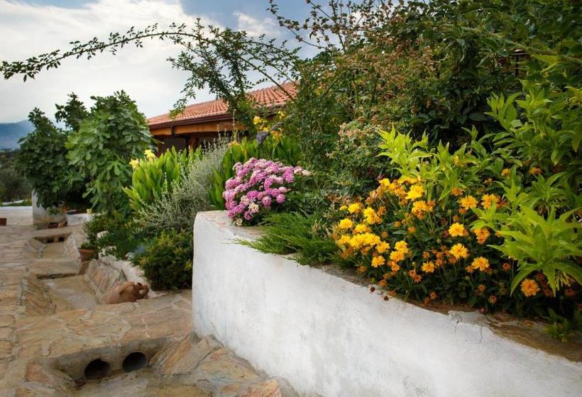 پانسیون Ionia Guest House