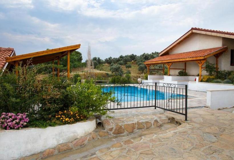 پانسیون Ionia Guest House