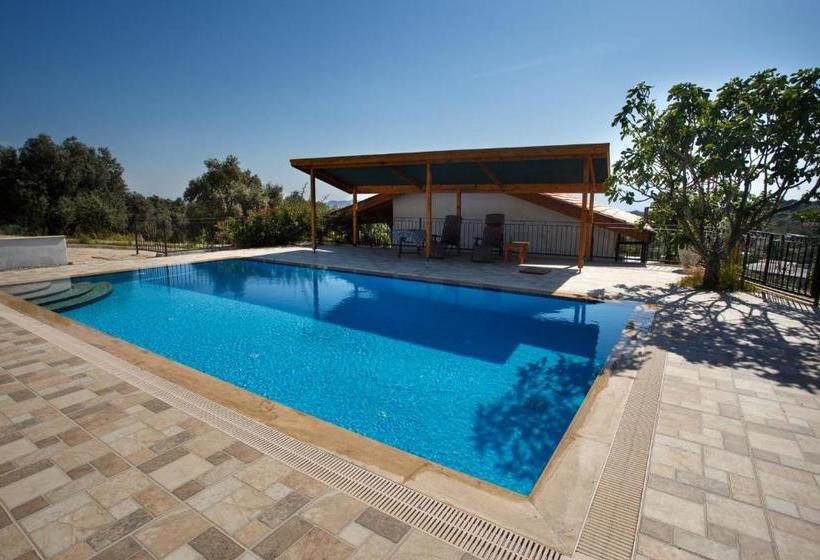 پانسیون Ionia Guest House