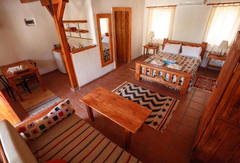 پانسیون Ionia Guest House