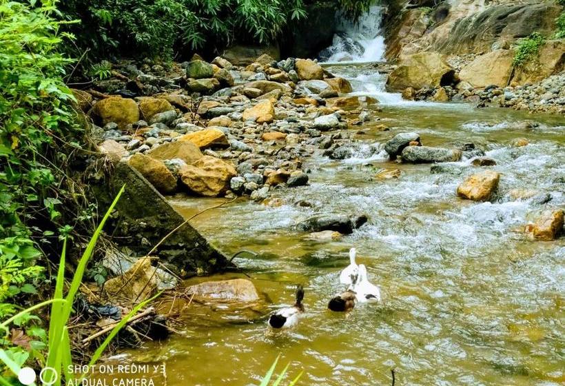 Pensiune Planter S Villa