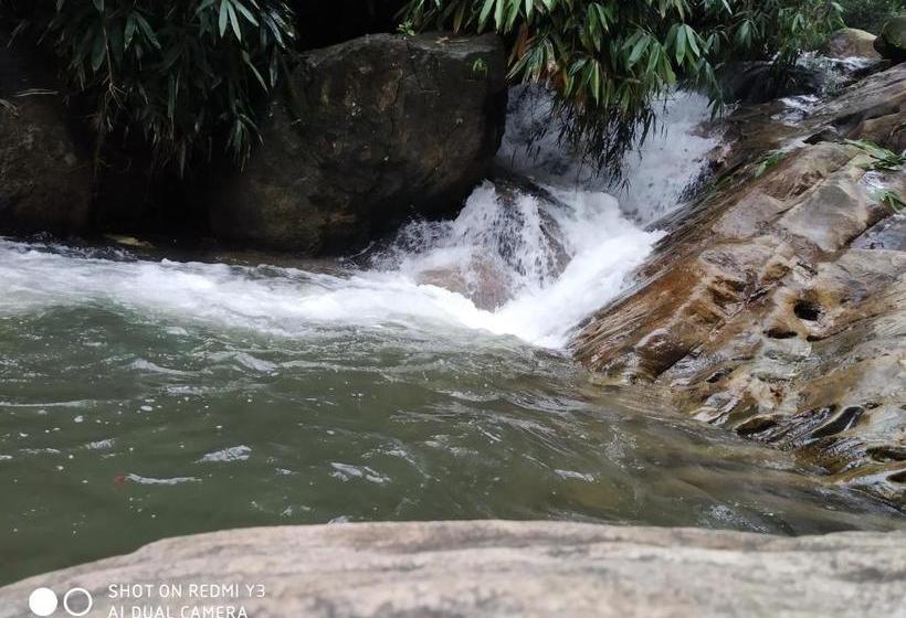 Pensiune Planter S Villa