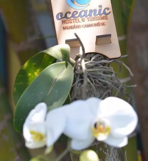 Oceanic Hostel