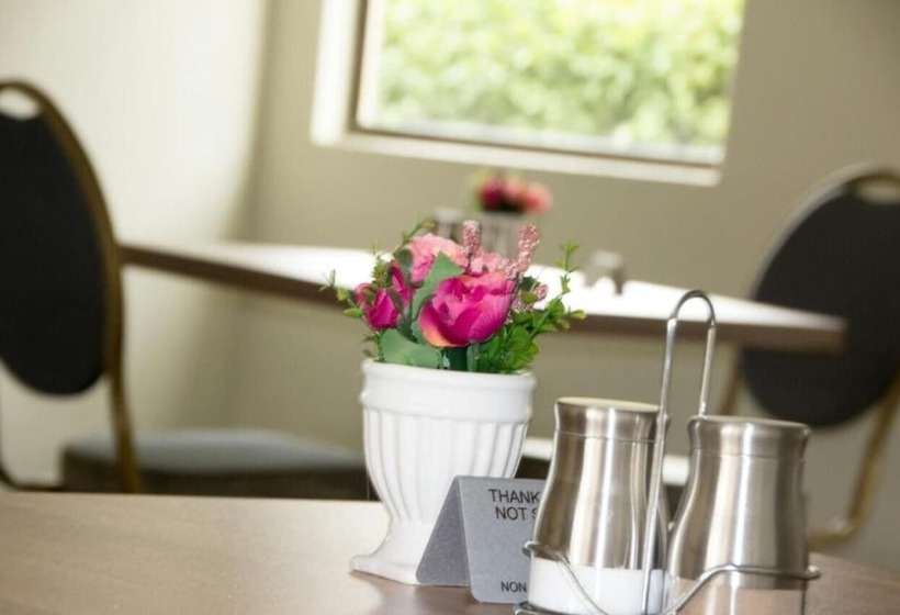 پانسیون Horizon View Guest House