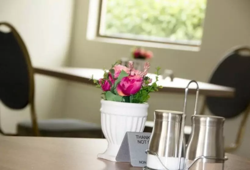 پانسیون Horizon View Guest House