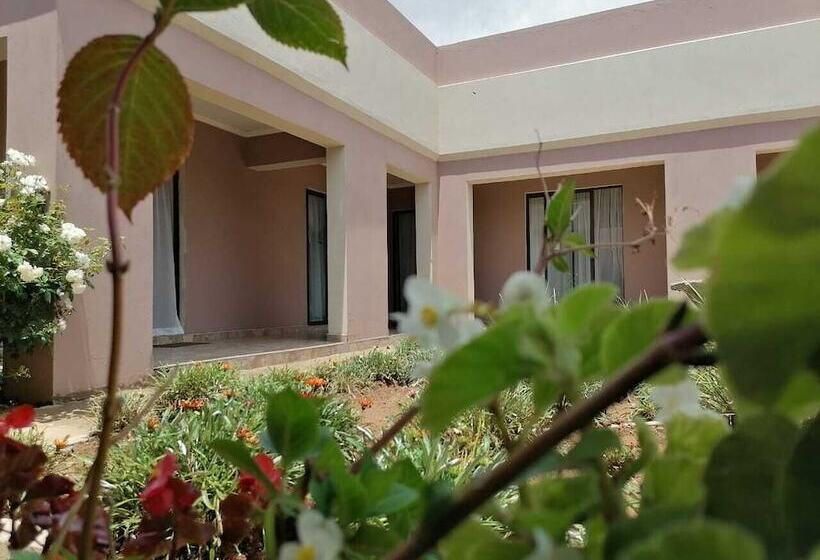 پانسیون Horizon View Guest House