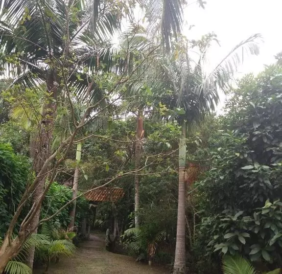 ペンション Pousada Do Carlito