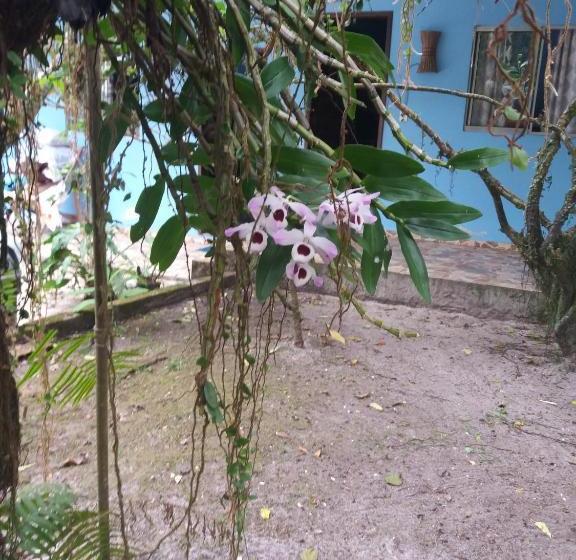 پانسیون Pousada Do Carlito