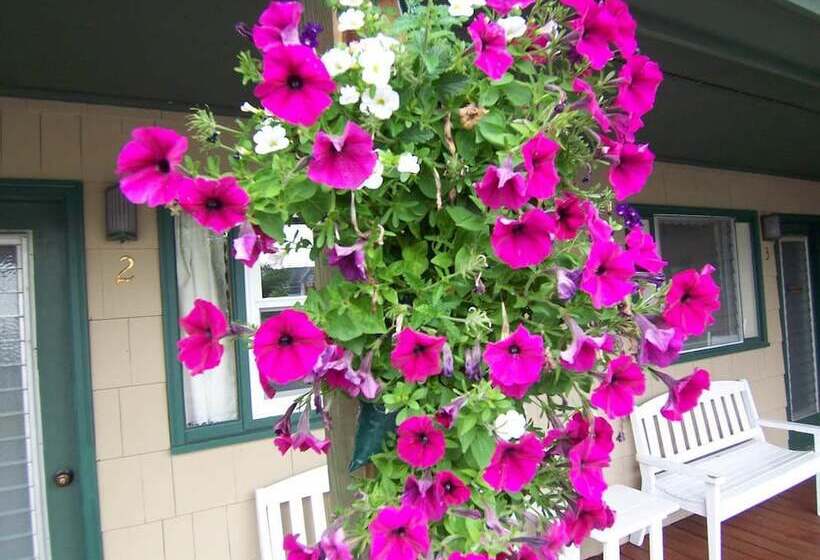 호스텔 Wooden Boat Inn