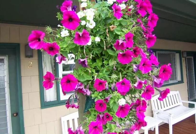 ユースホステル Wooden Boat Inn