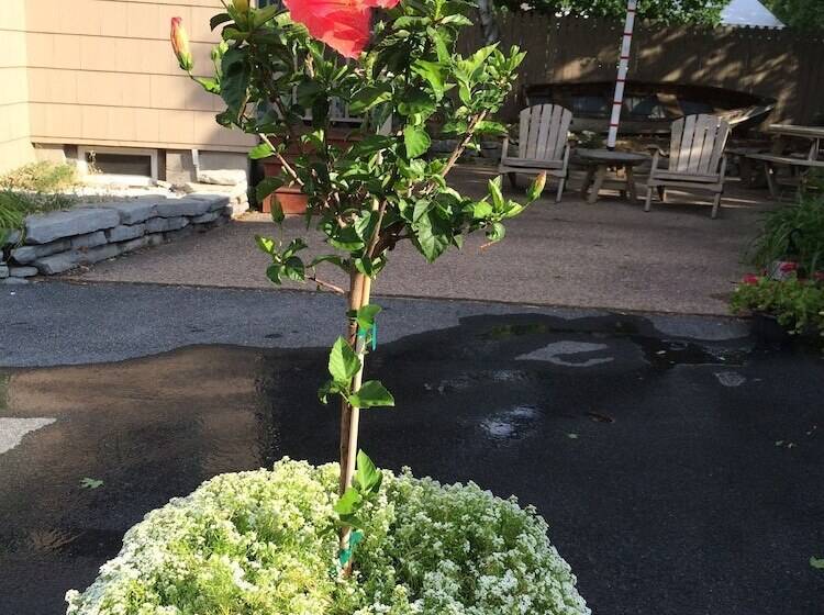 호스텔 Wooden Boat Inn