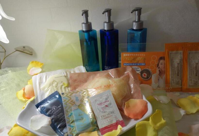 בית מלון כפרי First