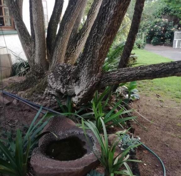 بنسيون Cadle House