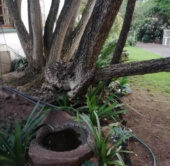 Majatalo Cadle House