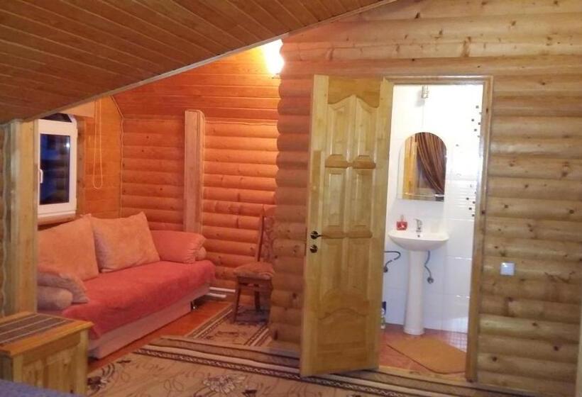 بنسيون Karpatska Mria