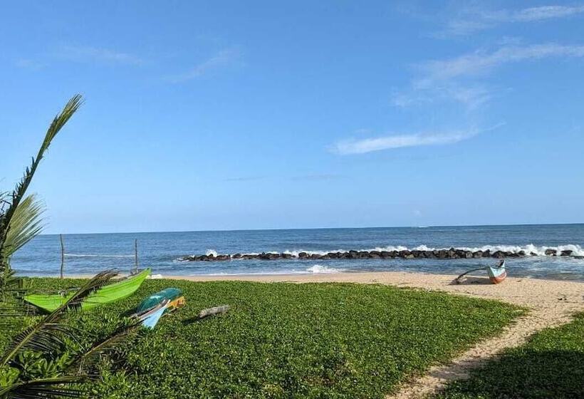 Пансион Canoe Beach Resort Tangalle