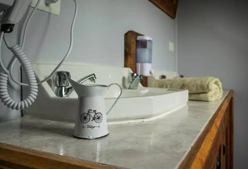 هاستل Puma House