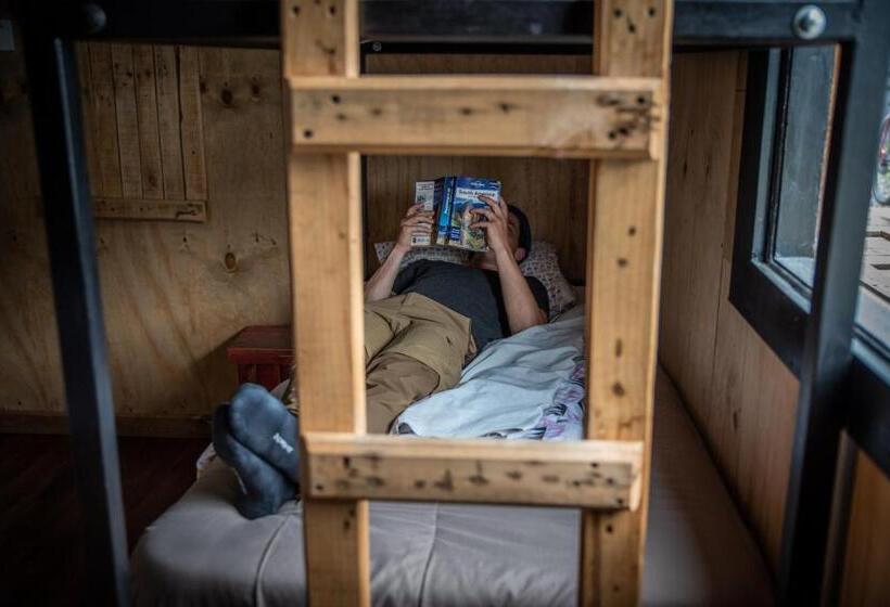 هاستل Puma House