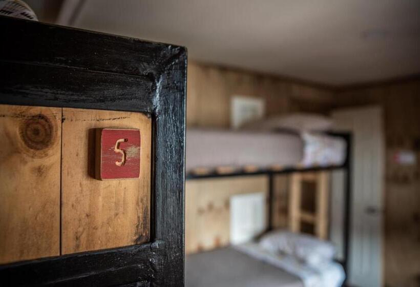 هاستل Puma House