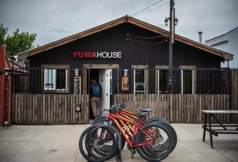 هاستل Puma House