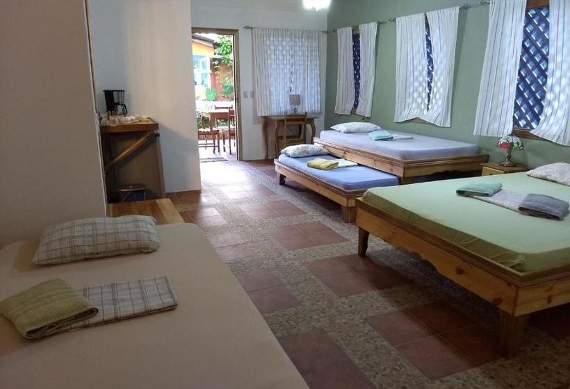 膳宿费 Don Quichotte