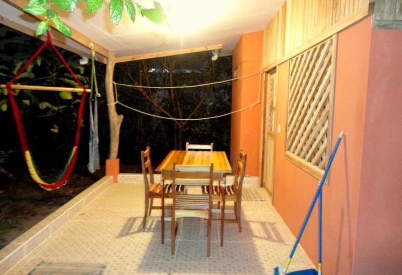 膳宿费 Don Quichotte