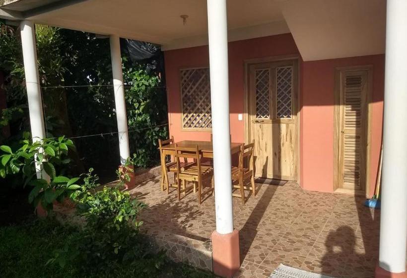 膳宿费 Don Quichotte