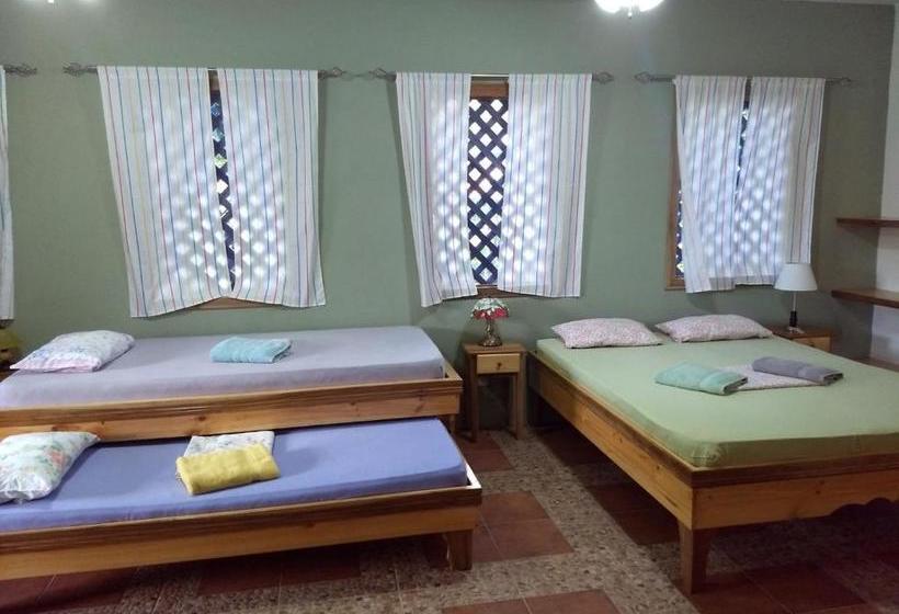 膳宿费 Don Quichotte