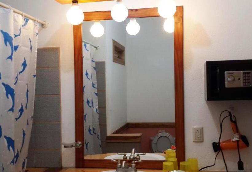 膳宿费 Don Quichotte