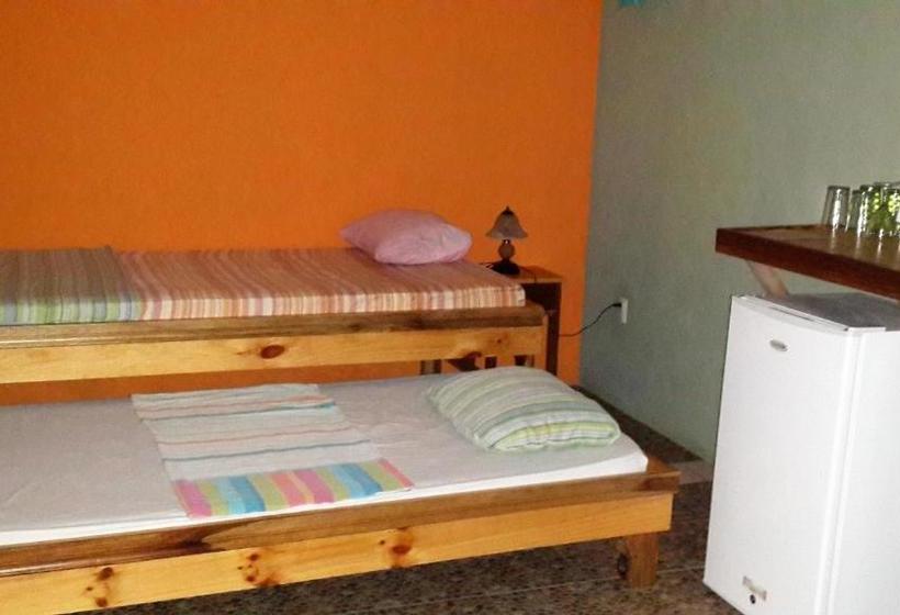 膳宿费 Don Quichotte