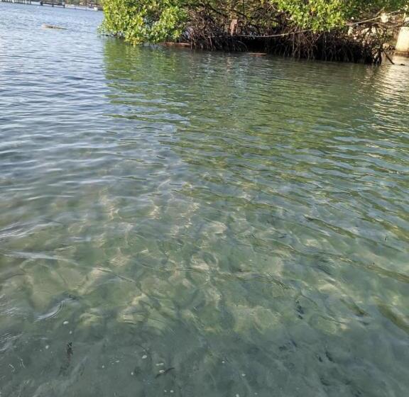 پانسیون Ofiuras Hostal