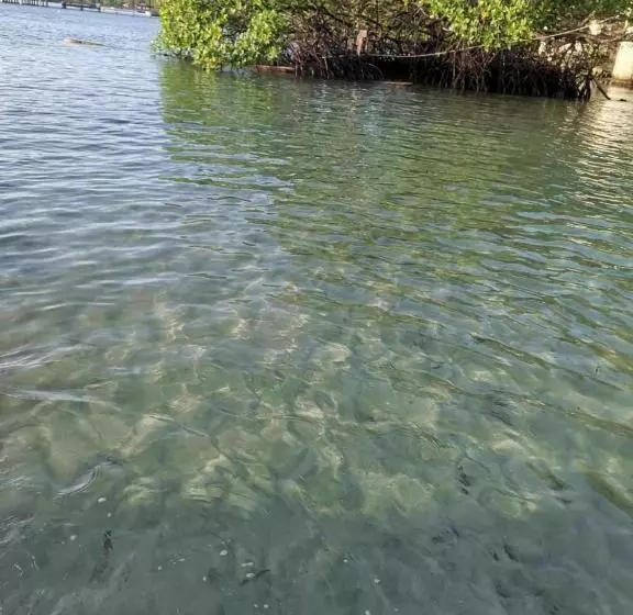 ペンション Ofiuras Hostal