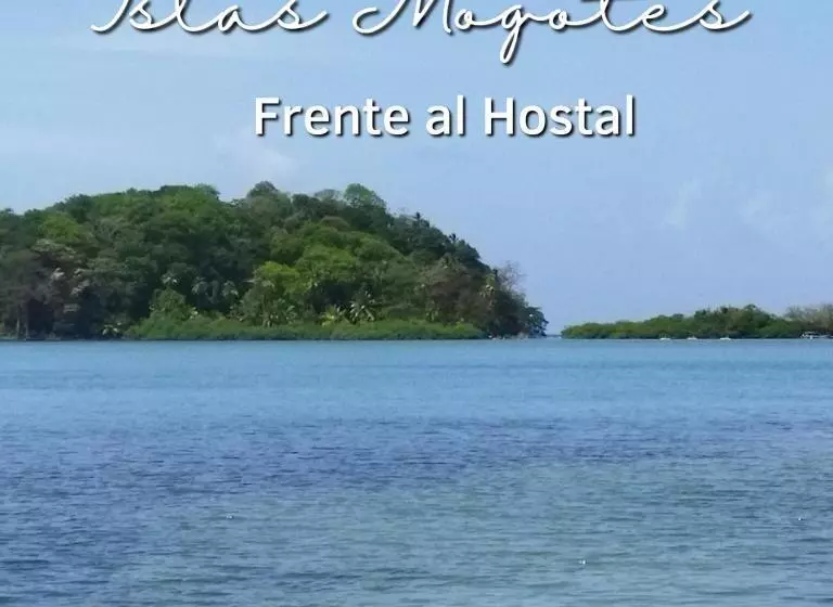 ペンション Ofiuras Hostal