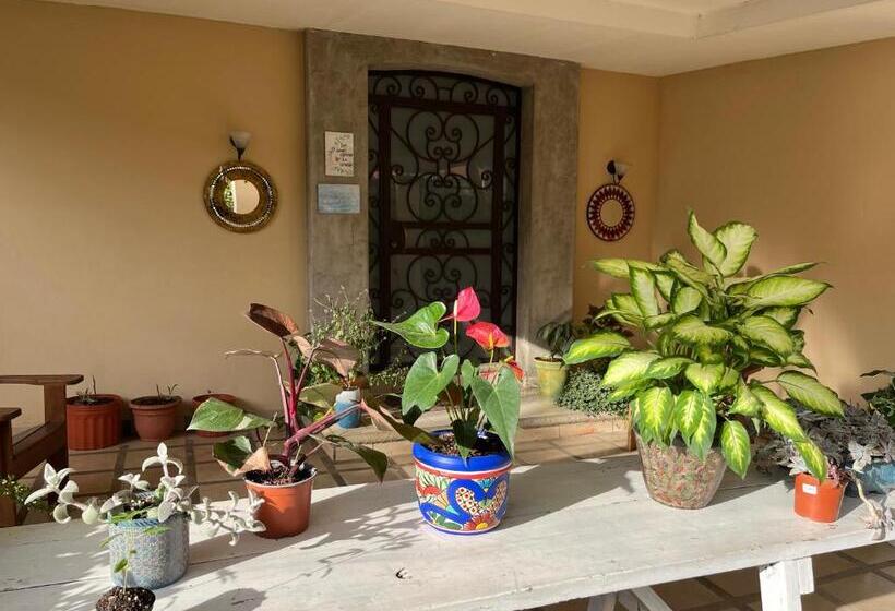 فندق صغير Ester`s Place