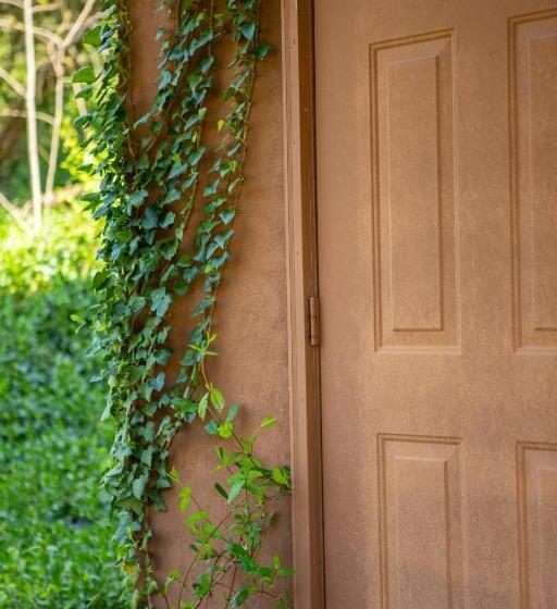 ホテル The Chimney Rock Inn & Cottages