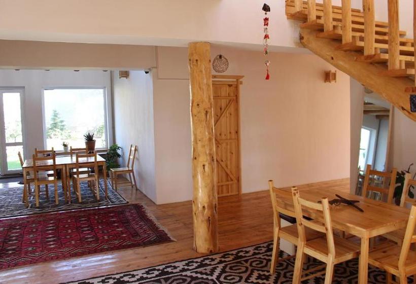 پانسیون Matsunoki