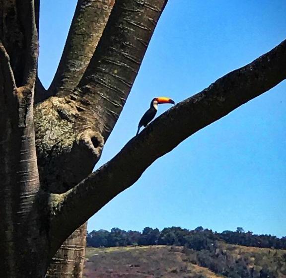 Пансион Pousada Divina Minas