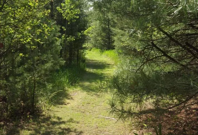 Baileys Sunset Motel