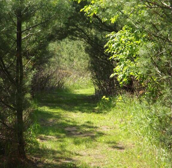 Baileys Sunset Motel