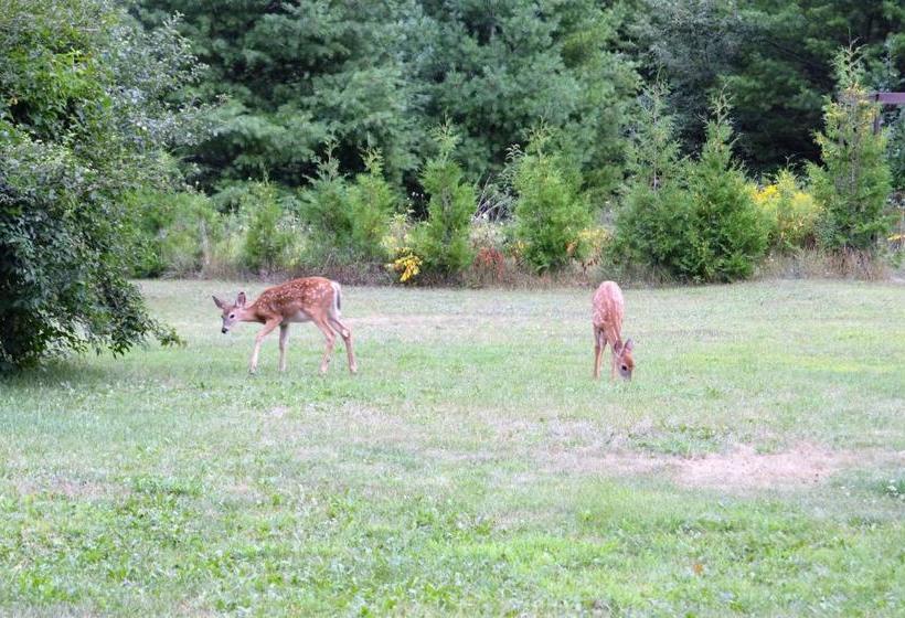 Baileys Sunset Motel