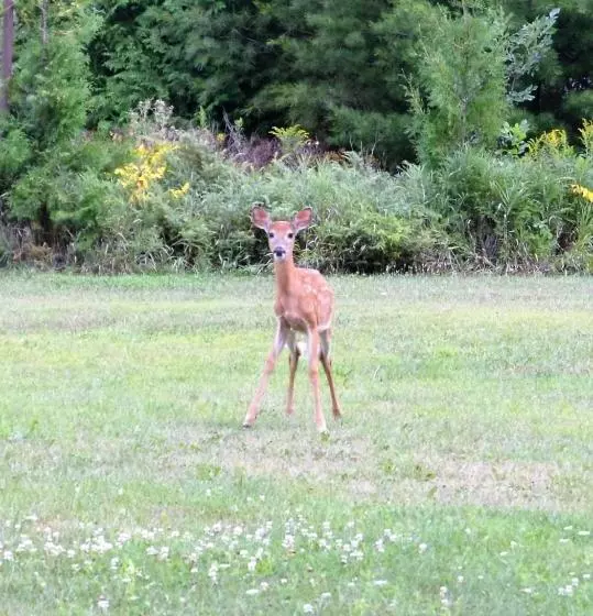 Baileys Sunset Motel