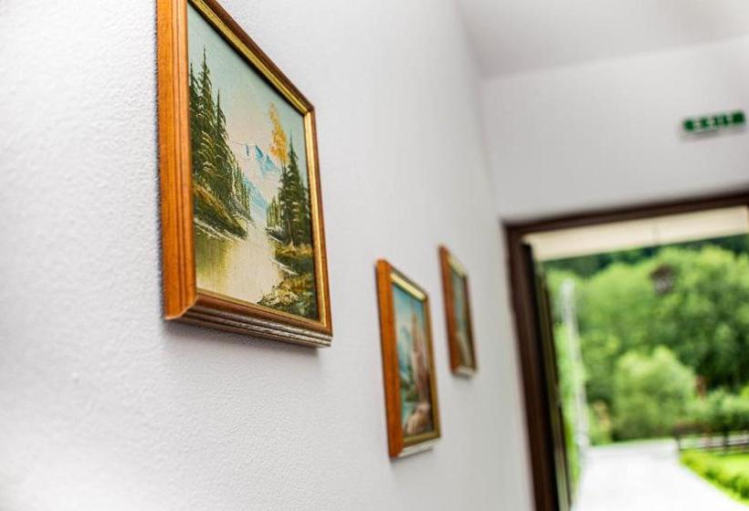 Hotel Pensiunea Poienita Apusenilor