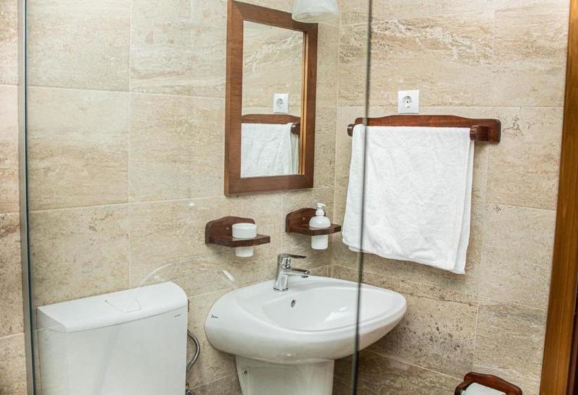 Hotel Pensiunea Poienita Apusenilor